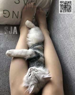 亚洲第一狼国产综合网站_720免费观看韩国
