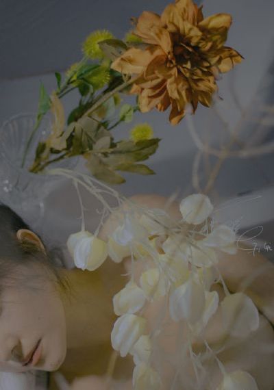 ysl千人千色t9t9t91_高清免费观看最新